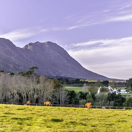 Hemel 'N Aarde Stud Hotel Hermanus Ngoại thất bức ảnh