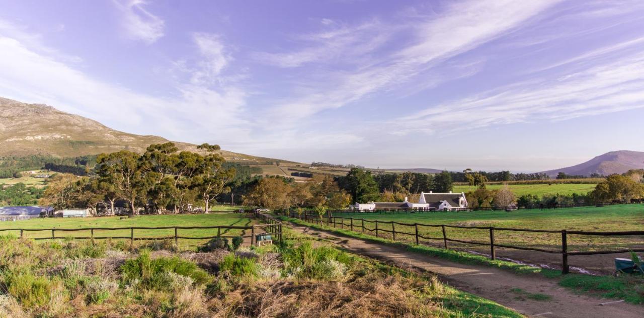 Hemel 'N Aarde Stud Hotel Hermanus Ngoại thất bức ảnh