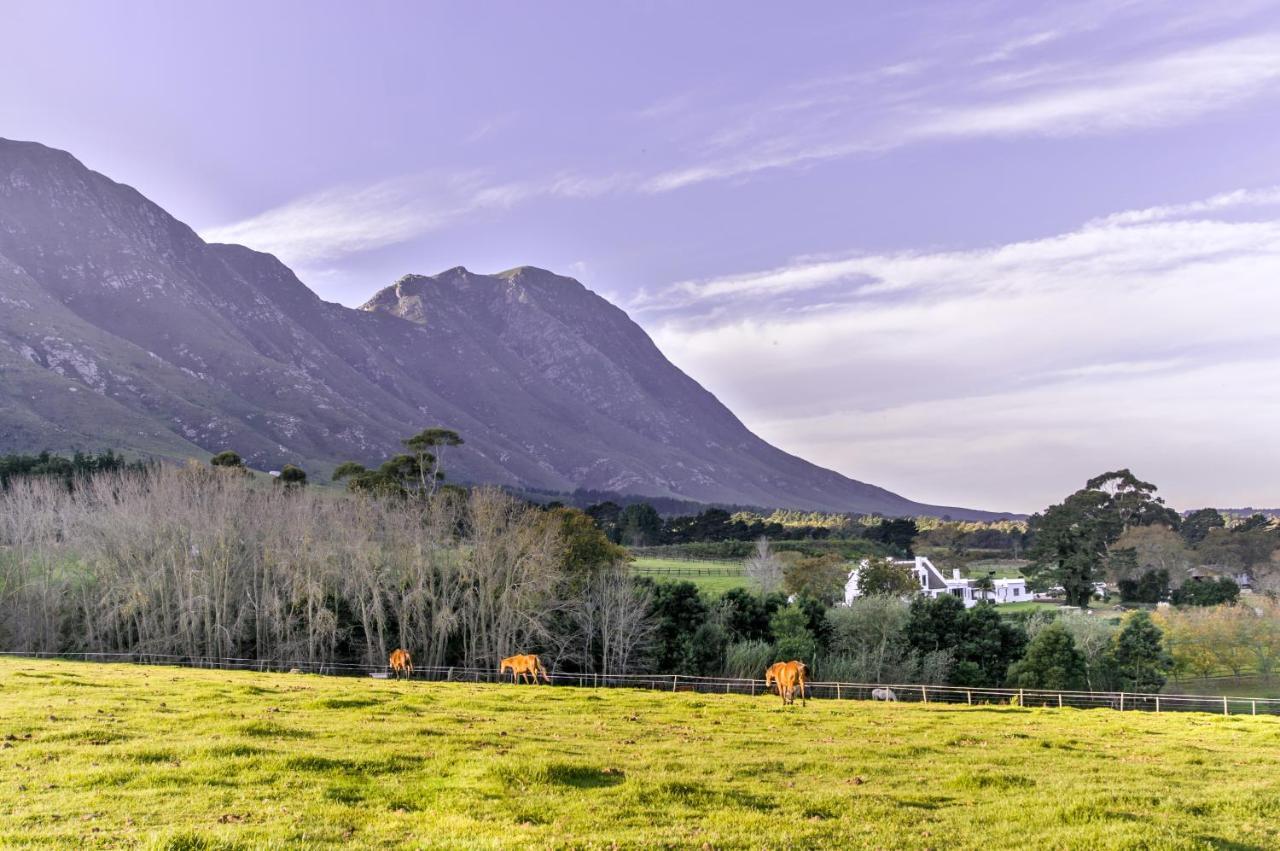 Hemel 'N Aarde Stud Hotel Hermanus Ngoại thất bức ảnh