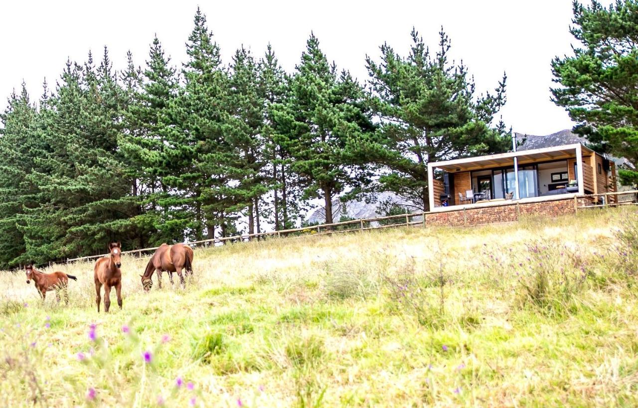 Hemel 'N Aarde Stud Hotel Hermanus Ngoại thất bức ảnh