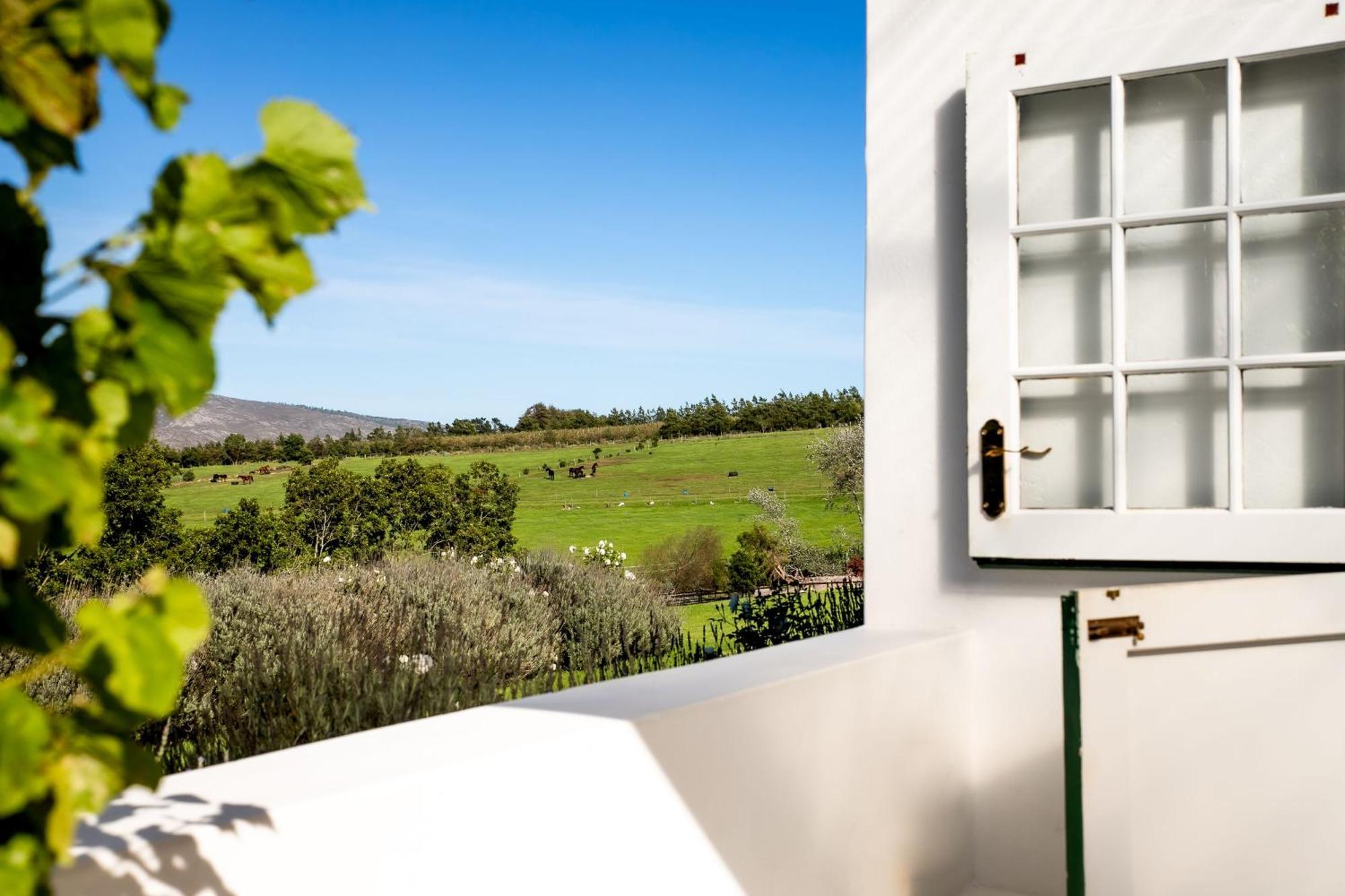 Hemel 'N Aarde Stud Hotel Hermanus Ngoại thất bức ảnh